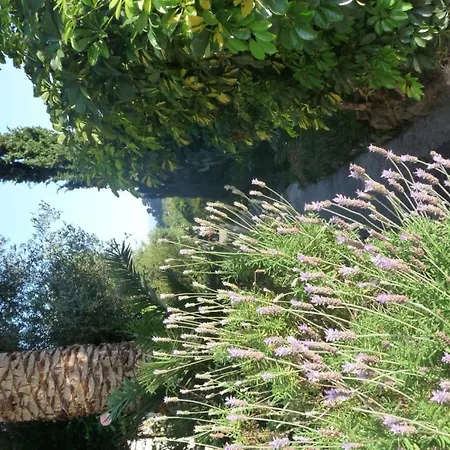 Frühstückspension Castel Enchante Nizza